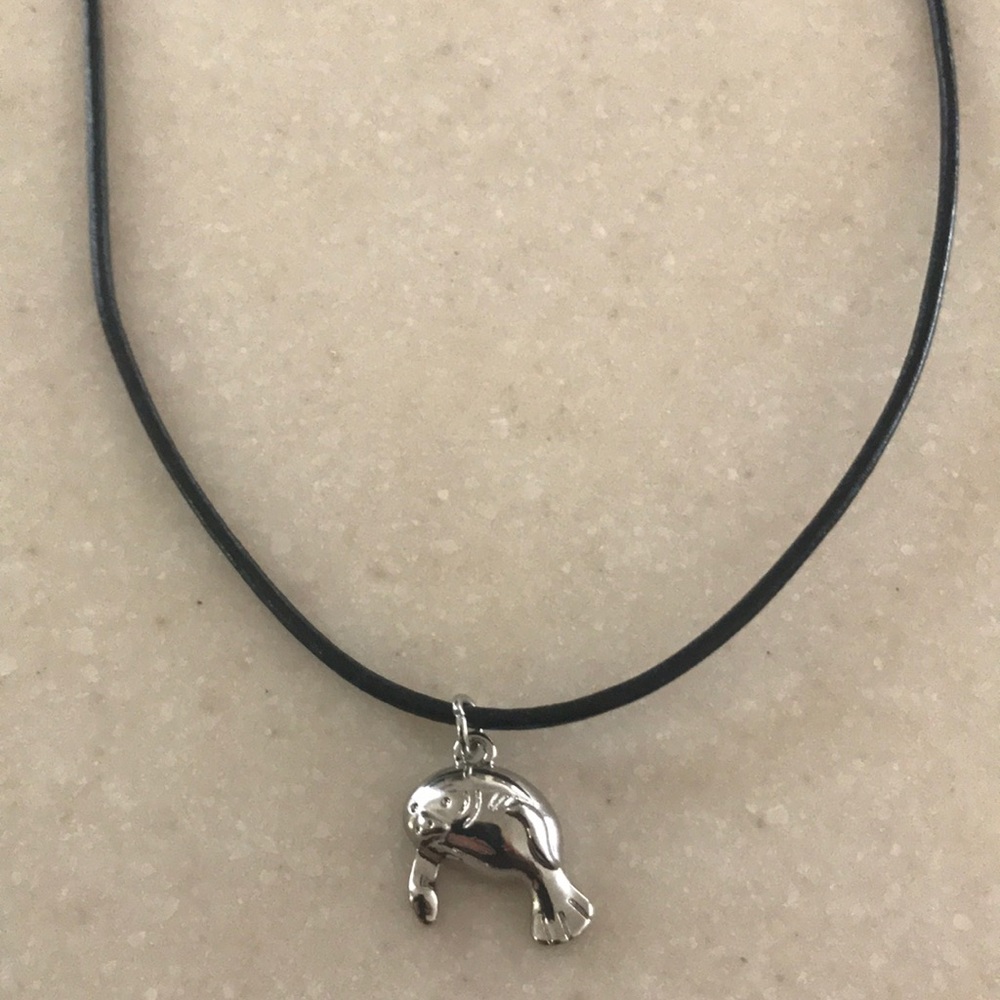 New necklace